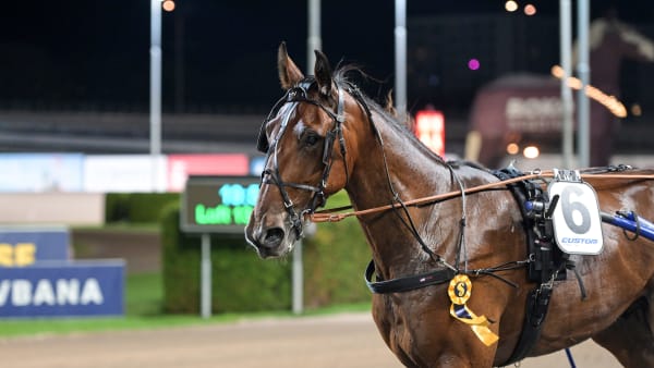 Foto: LARS JAKOBSSON / TR BILD