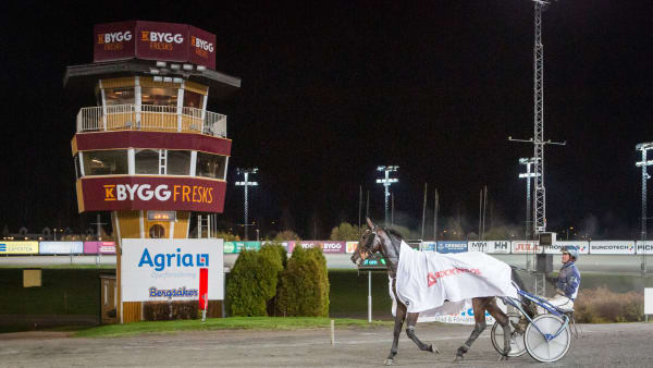 Foto: DAVID SCHREINER / TR BILD