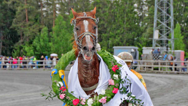 Foto: TOM JÖNEHAG