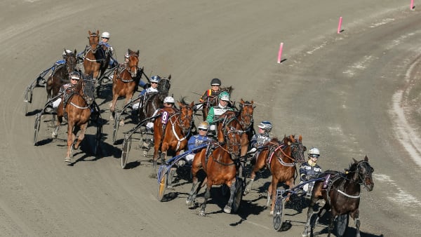 Foto: LENA EMMOTH / TR BILD