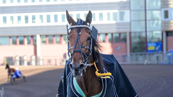 Foto: LARS JAKOBSSON / TR BILD