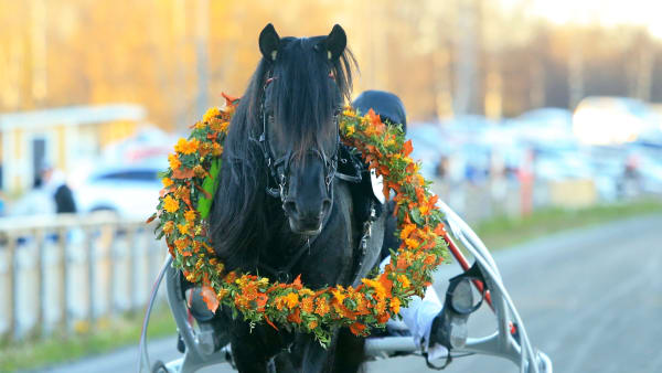 Foto: GIRLPOWER HB/TR BILD