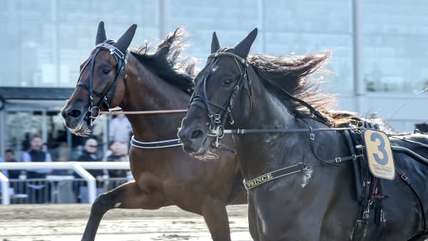 Foto: LARS JAKOBSSON / TR BILD