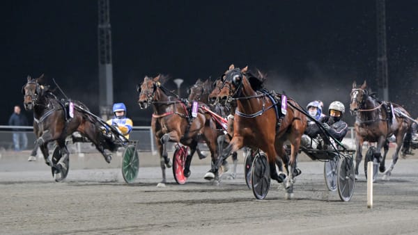 Foto: LARS JAKOBSSON / TR BILD