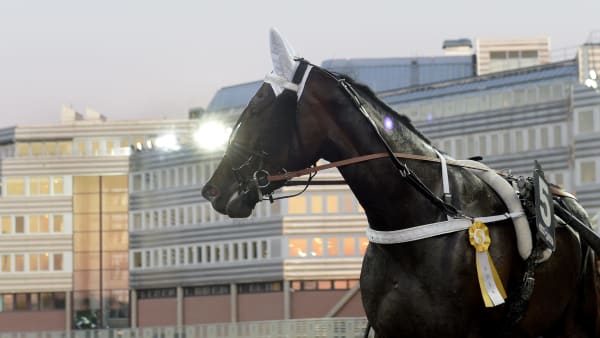 Foto: LARS JAKOBSSON / TR BILD