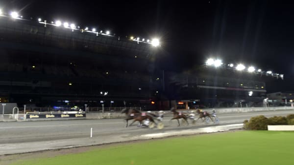 Foto: LARS JAKOBSSON / TR BILD