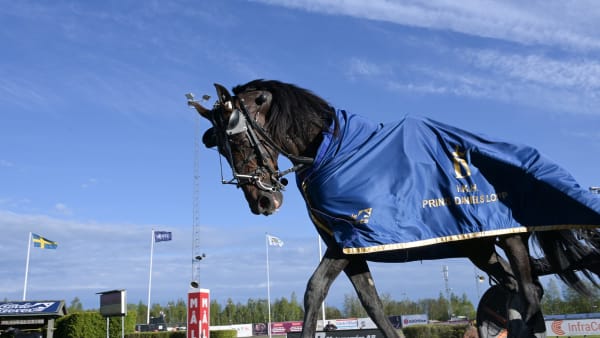 Foto: LARS JAKOBSSON / TR BILD