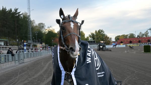 Ideal du Rocher tog i dag första segern sedan triumfen i Walter Lundbergs Memorial på Solvalla i oktober.