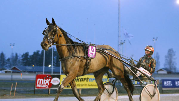 Foto: MARIA HOLMÉN / TR BILD