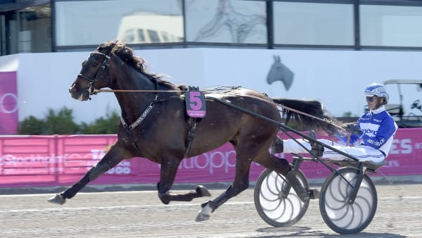 Foto: LARS JAKOBSSON / TR BILD