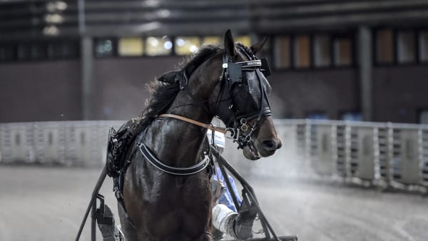 Foto: LARS JAKOBSSON / TR BILD