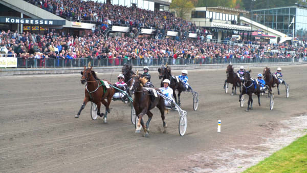 Foto: LARS JAKOBSSON / TR BILD