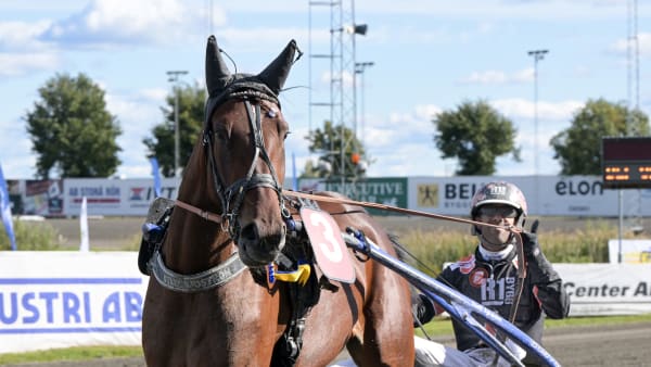 Foto: LARS JAKOBSSON / TR BILD