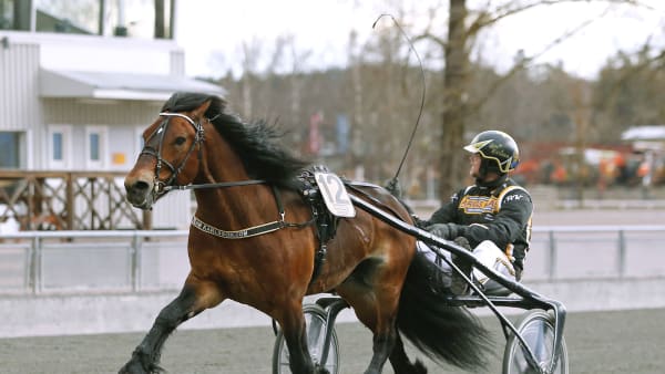 Foto: MARIA HOLMÉN / TR BILD