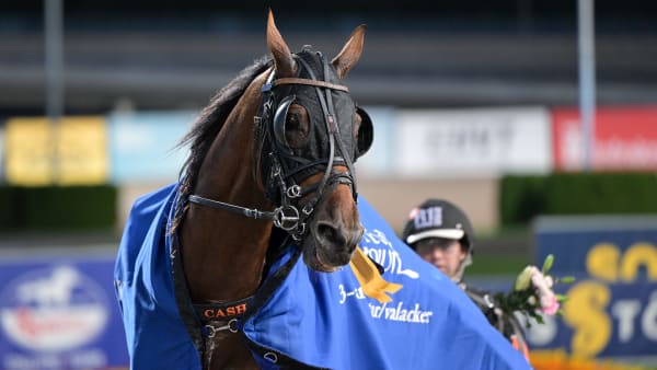 Foto: LARS JAKOBSSON / TR BILD