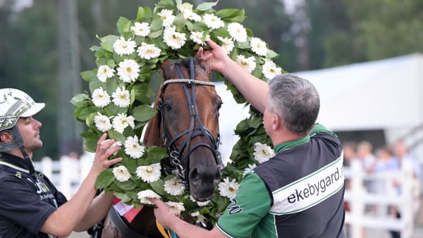 Foto: LARS JAKOBSSON / TR BILD