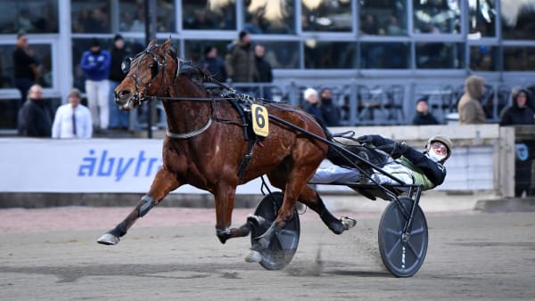 Foto: MALIN ALBINSSON / TR BILD