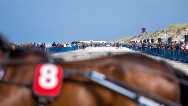 Foto: THOMAS BLOMQVIST / TR BILD
