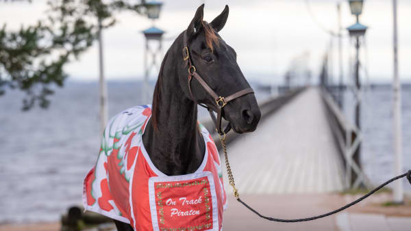 Foto: THOMAS BLOMQVIST / TR BILD