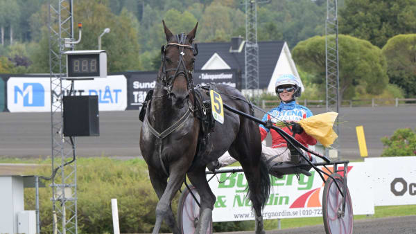 Foto: LARS JAKOBSSON / TR BILD