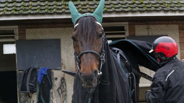 Foto: JEAN-LUC LAMAÈRE/TR BILD