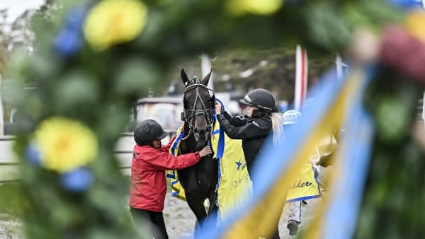 Foto: JENNY REHNMAN / TR BILD