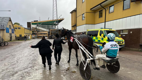 Foto: Mattias Holmgren/TR Bild.