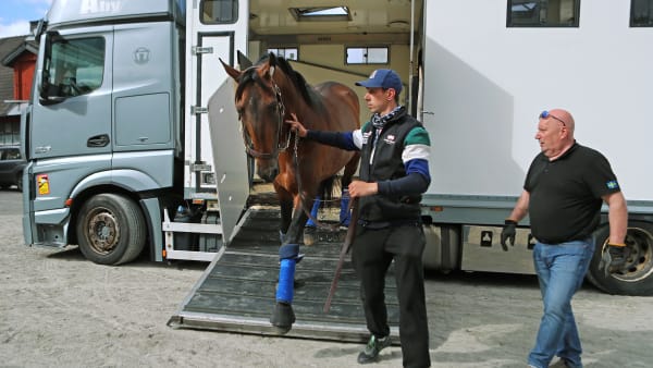 Foto: MARIA HOLMÉN/TR BILD