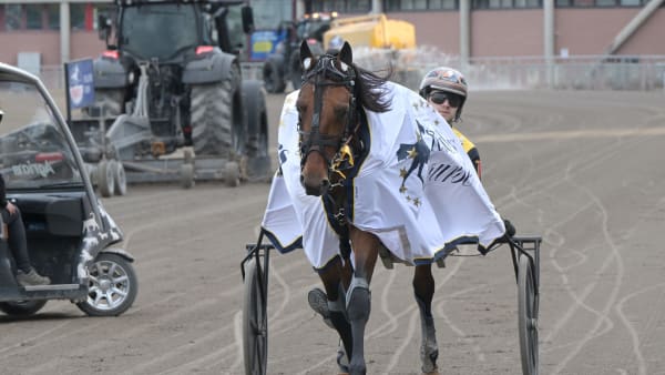 Foto: LARS JAKOBSSON / TR BILD