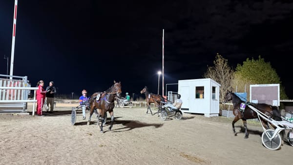 Foto: Rickard Hansson/TR Bild.