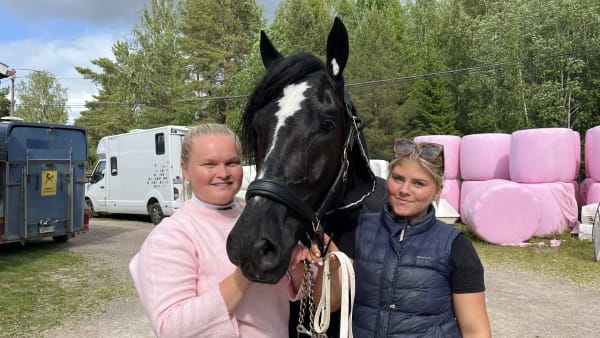 Foto: RICHARD HJELLSTRÖM / TRAVRONDEN