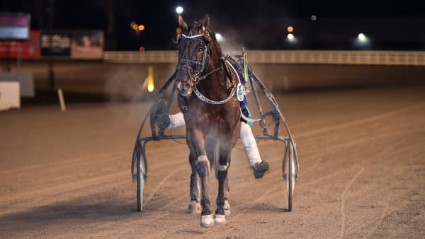 Foto: LARS JAKOBSSON / TR BILD