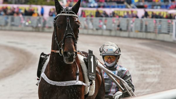 Foto: MATILDA ÖHRMAN / TR BILD