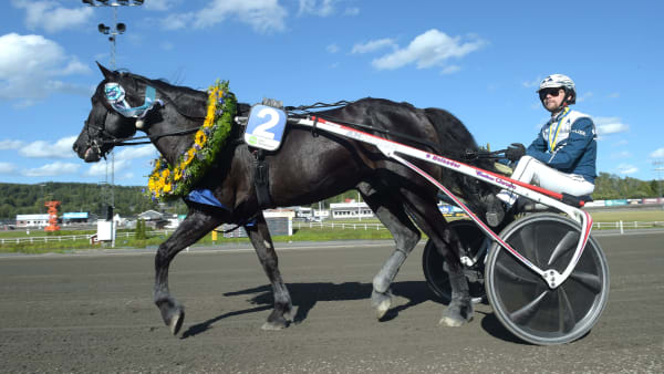 Foto: LARS JAKOBSSON / TR BILD