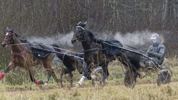 Foto: Jean-Luc Lamaère/TR Bild