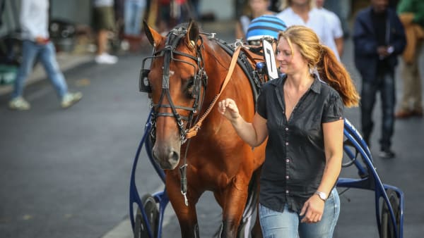 Foto: Bruno Vandevelde/Le Trot