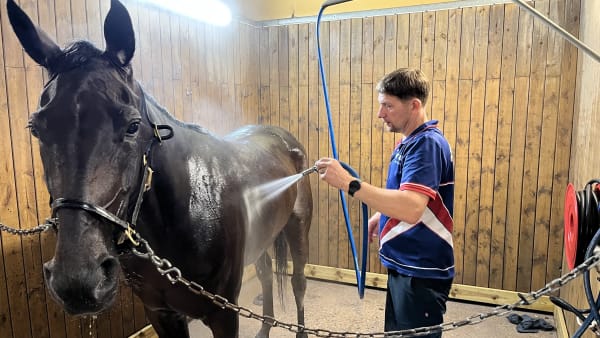 Foto: Richard Hjellström/TR Bild.