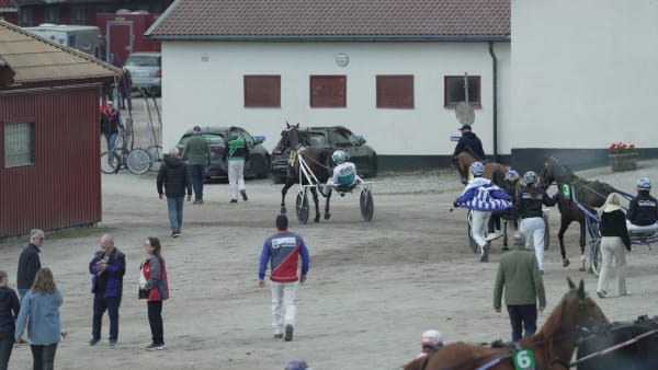 Foto: TR BILD