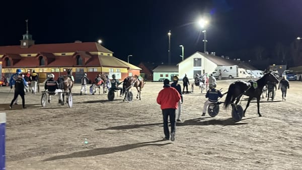 Foto: RICHARD HJELLSTRÖM/TR BILD