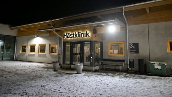 Foto: LARS JAKOBSSON / TR BILD