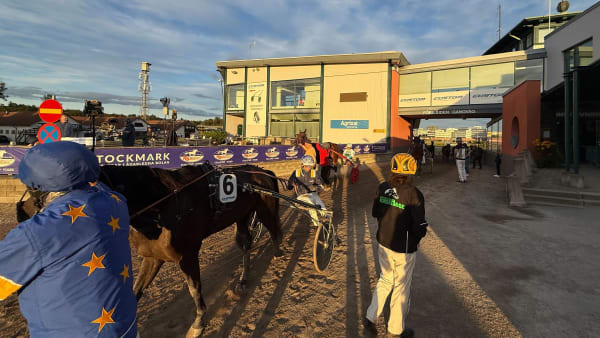 Foto: Rickard Hansson/TR Bild.