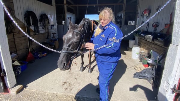 Foto: PETRI JOHANSSON