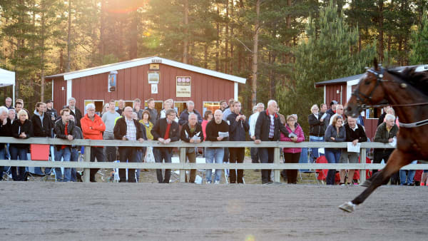 Foto: MALIN ALBINSSON / TR BILD