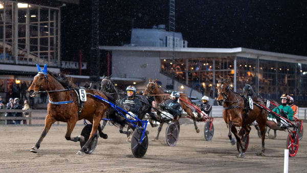 Foto: MIKAEL ROSENQUIST / TR BILD