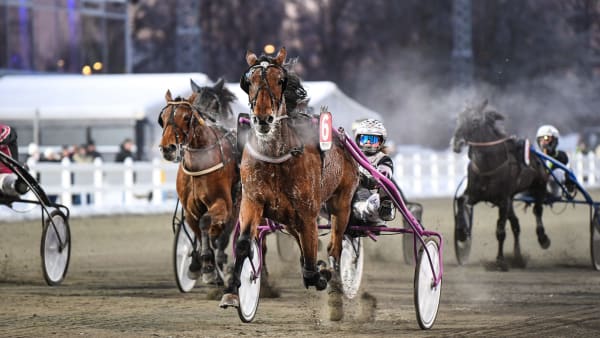 Foto: MALIN ALBINSSON / TR BILD