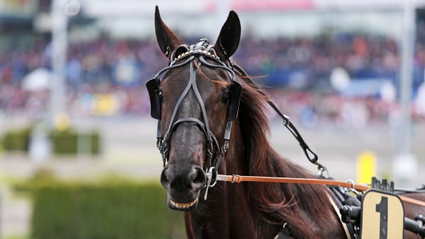 Foto: MATILDA ÖHRMAN / TR BILD