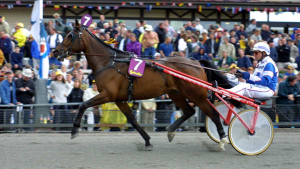 Foto: JANET PERS/TR BILD