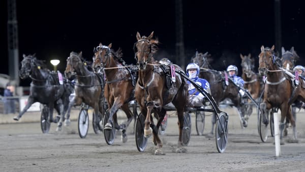 Foto: LARS JAKOBSSON / TR BILD