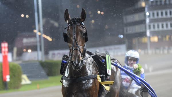 Foto: LARS JAKOBSSON / TR BILD