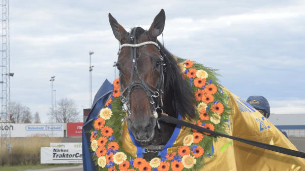 Foto: LARS JAKOBSSON/TR BILD